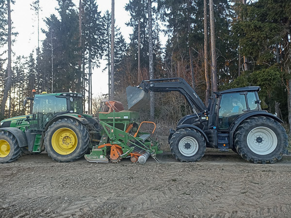 Baumfällung in Höhe