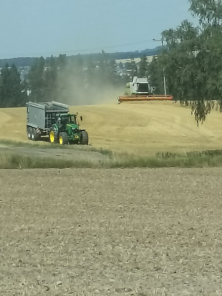 Erdarbeiten